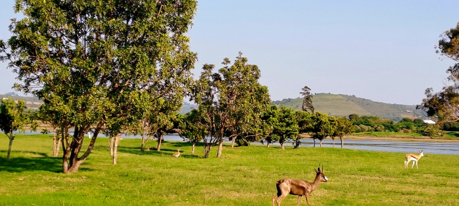 3 Bedroom Property for Sale in Twin Rivers Western Cape